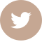 Twitter icon